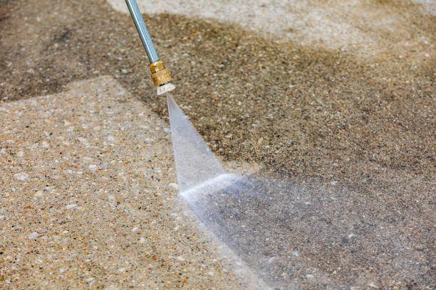 Best Driveway Pressure Washing  in Cross City, FL