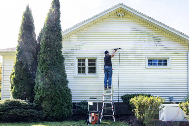 Best Gutter Cleaning  in Cross City, FL